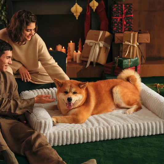 Waterproof Memory Foam Pet Bed with Protective Edging