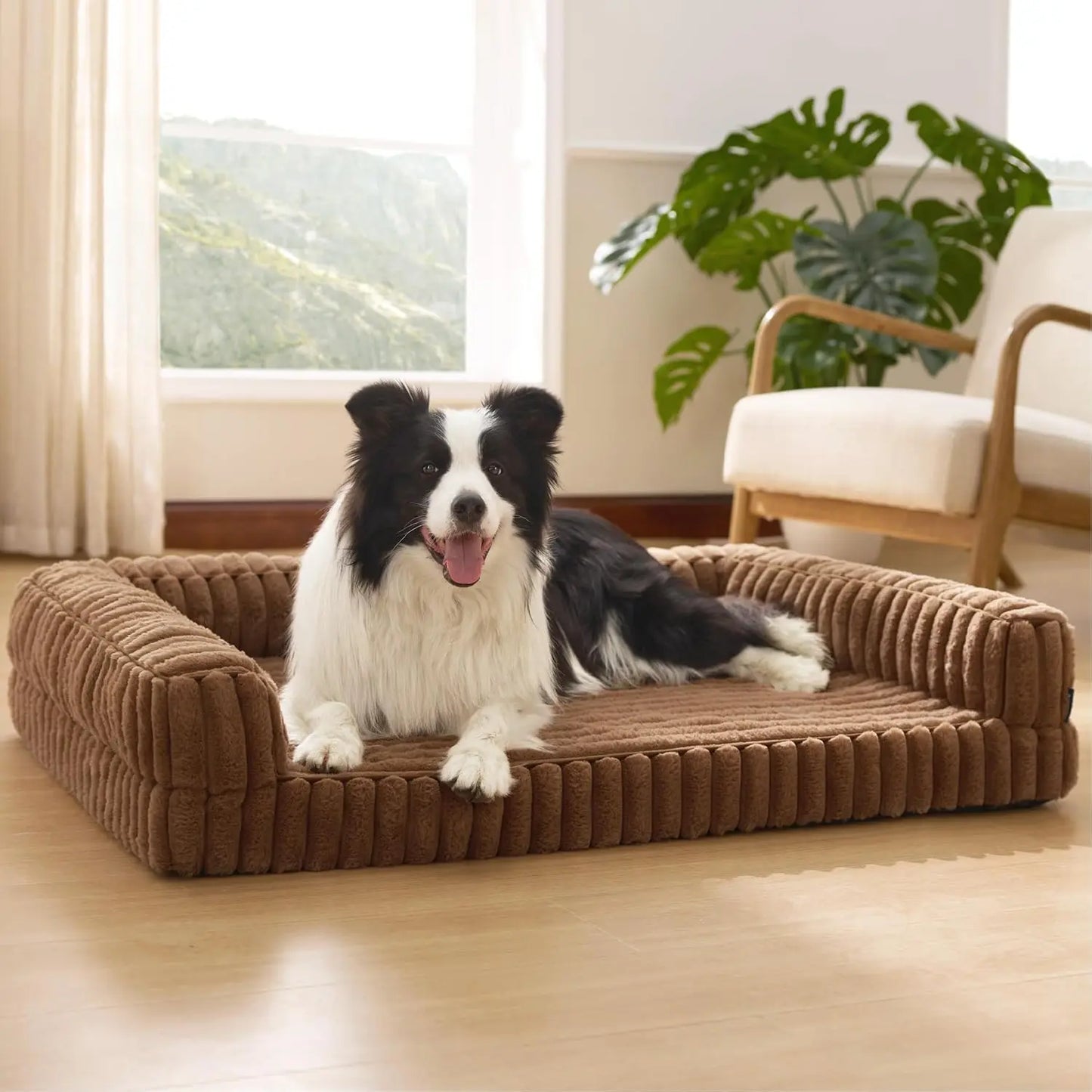 Waterproof Memory Foam Pet Bed with Protective Edging