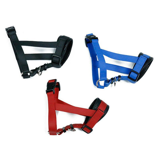 Maulschutz gegen Fressen für Hunde mit multifunktionalen Halsbändern